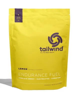 Endurance Fuel Lemon - 30 Serving